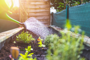 garden maintenance