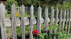 wooden fence